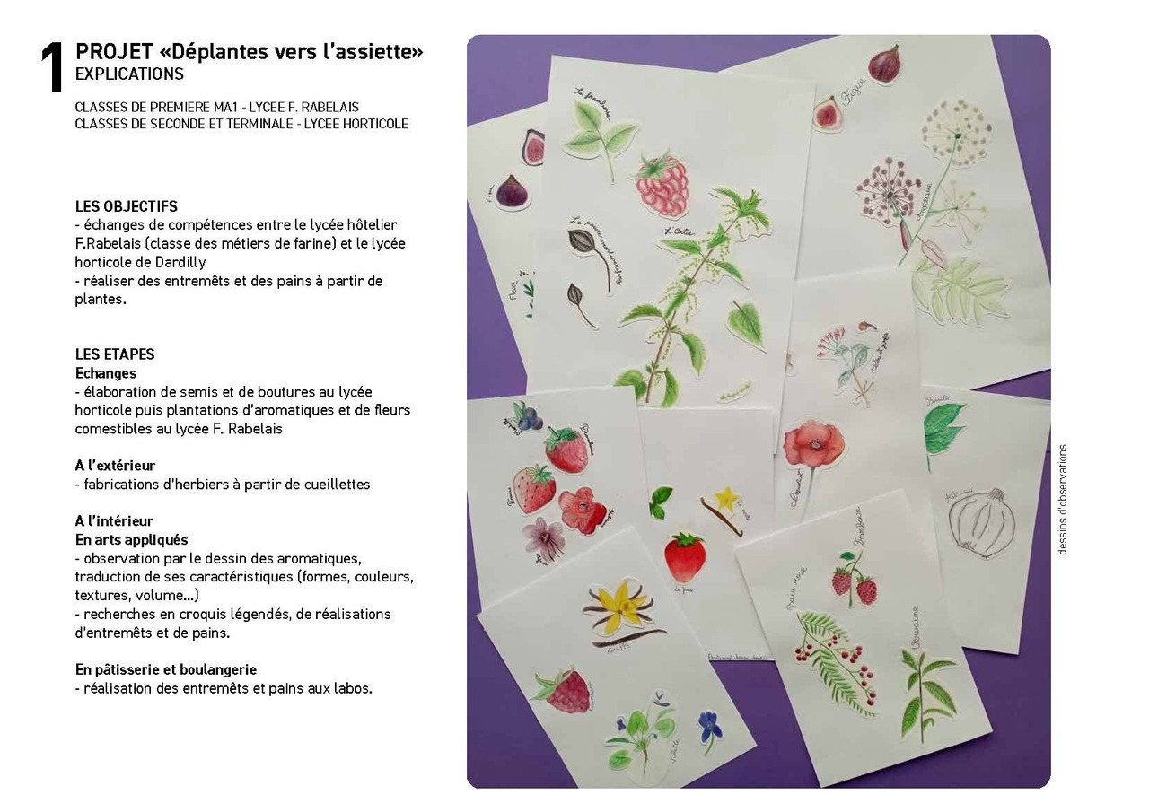 Déplantes vers l’assiette © Lycée Rabelais