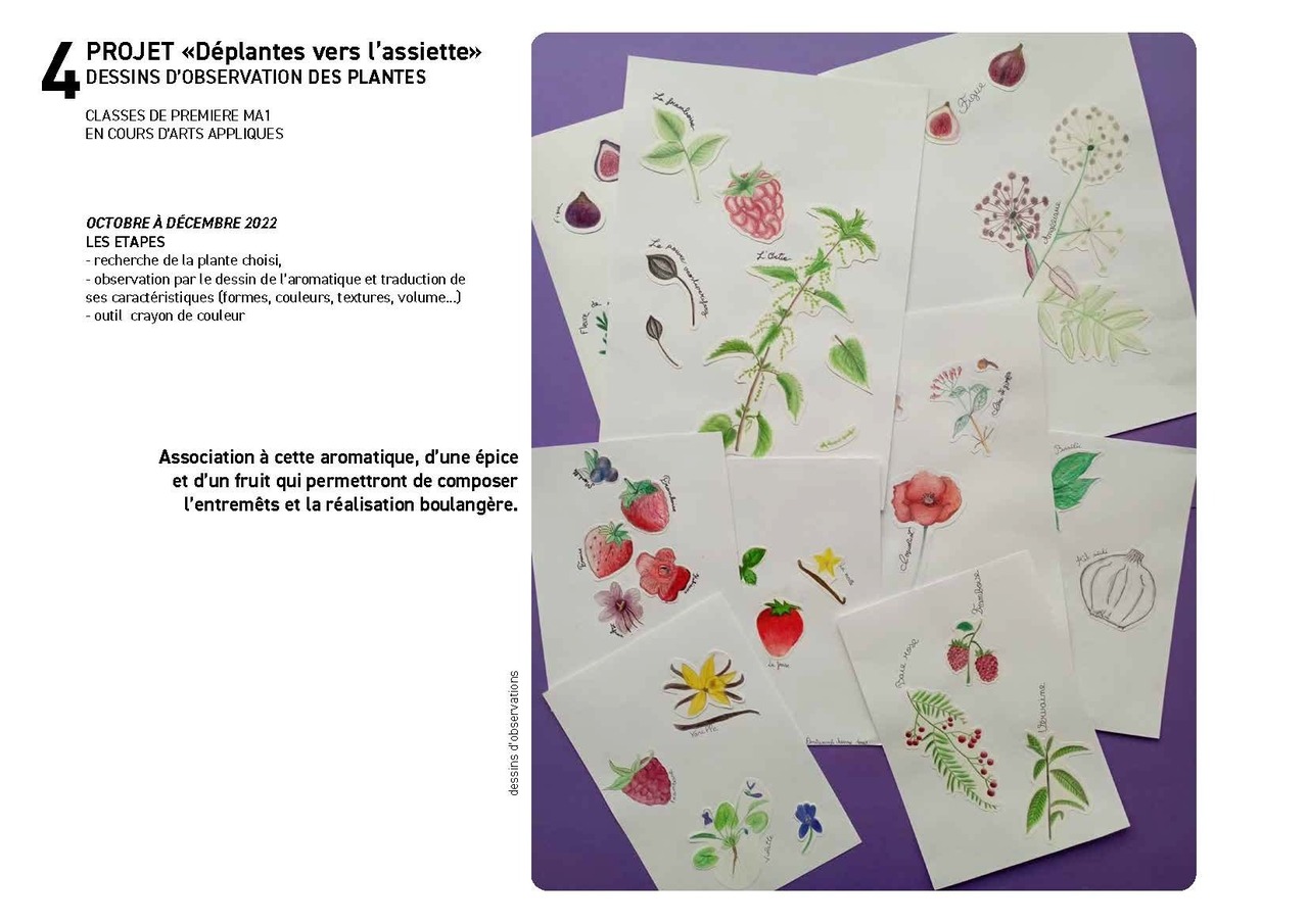 Déplantes vers l’assiette © Lycée Rabelais