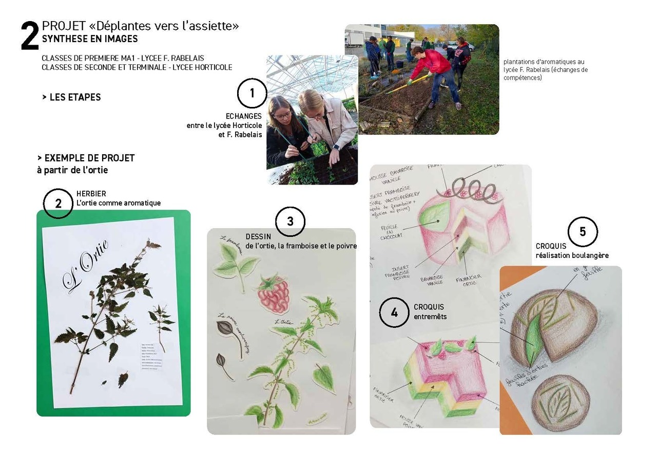 Déplantes vers l’assiette © Lycée Rabelais