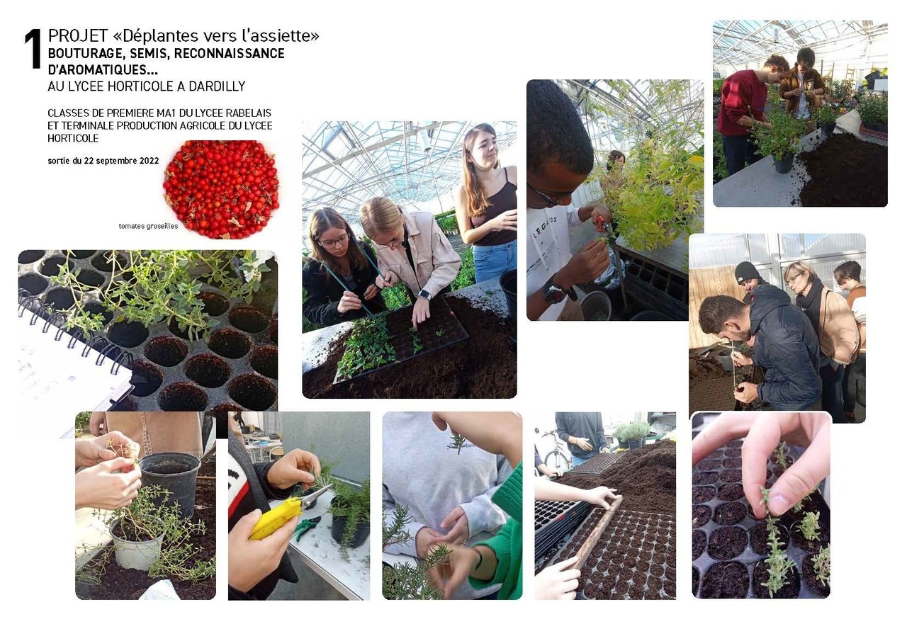 Déplantes vers l’assiette vers l’assiette © Lycée Rabelais