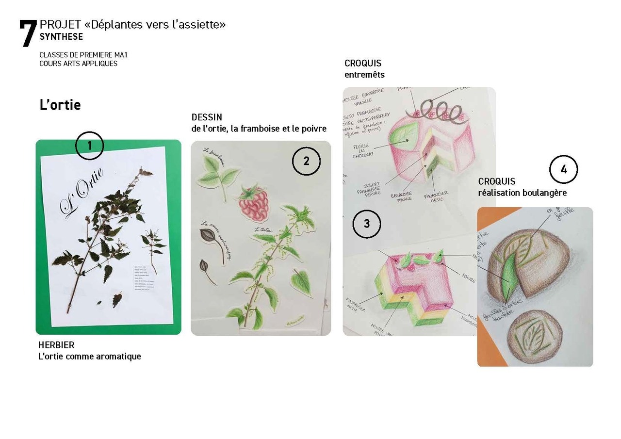 Déplantes vers l’assiette © Lycée Rabelais