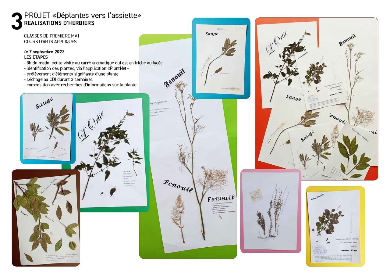 Déplantes vers l’assiette © Lycée Rabelais