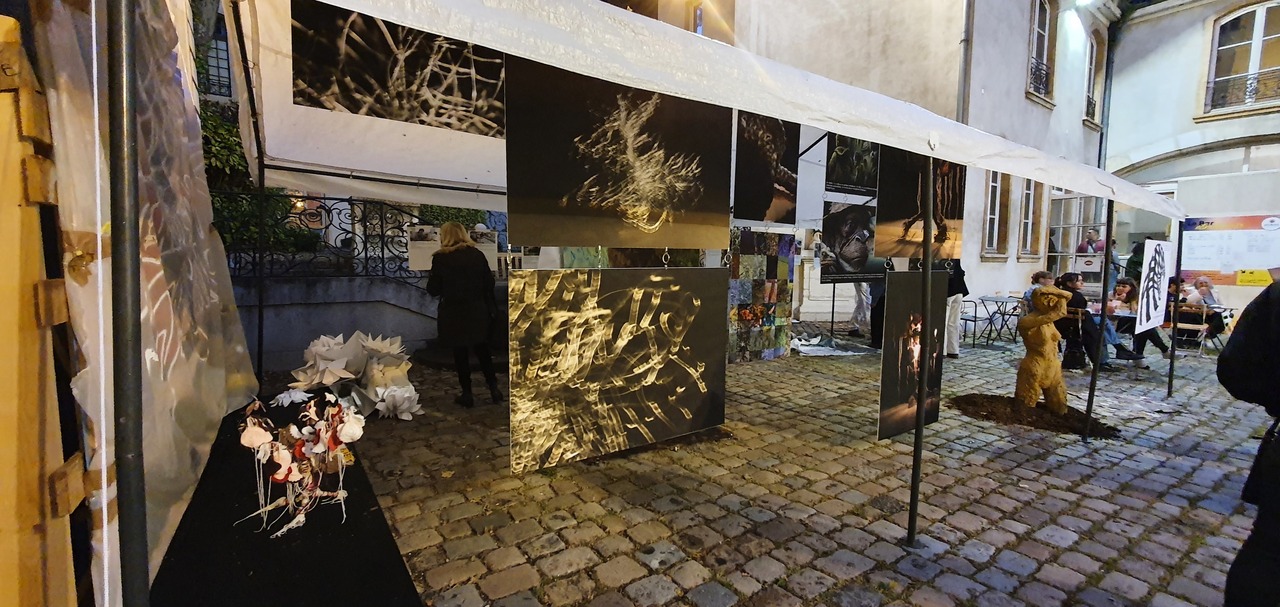  © Lycée Lumière